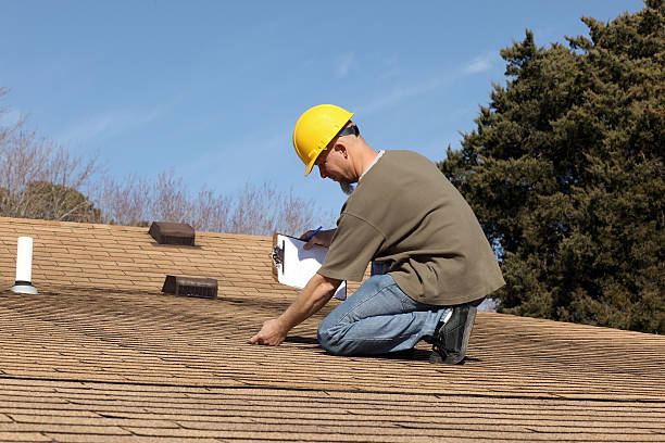 Best Roof Moss and Algae Removal  in Gold River, CA